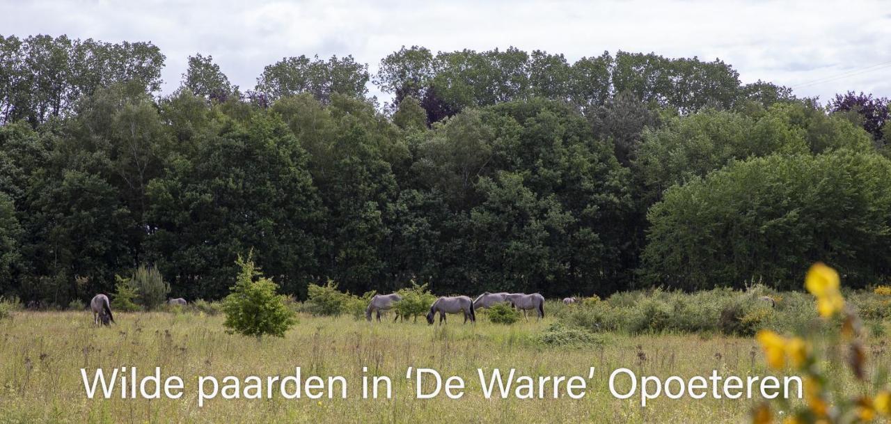 Vakantiewoning Heidebos In Het Nationaal Park Hoge Kempen Opglabbeek Exterior foto