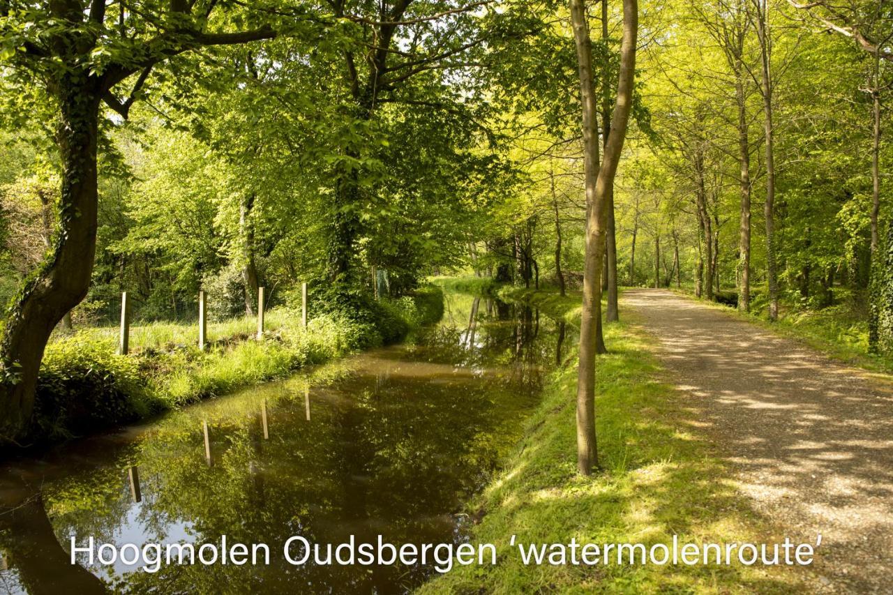 Vakantiewoning Heidebos In Het Nationaal Park Hoge Kempen Opglabbeek Exterior foto